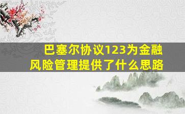 巴塞尔协议123为金融风险管理提供了什么思路