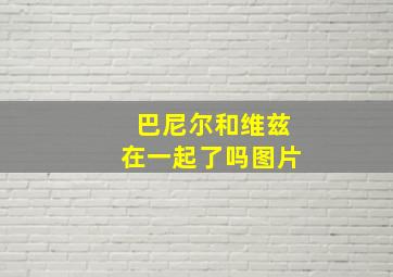 巴尼尔和维兹在一起了吗图片