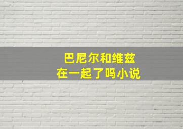 巴尼尔和维兹在一起了吗小说