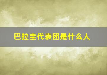 巴拉圭代表团是什么人