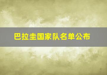 巴拉圭国家队名单公布