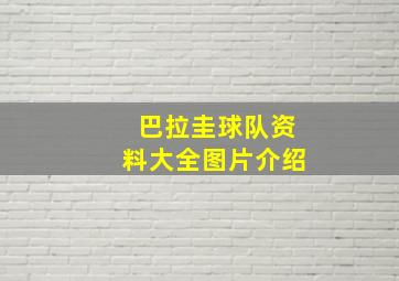 巴拉圭球队资料大全图片介绍