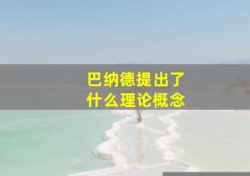 巴纳德提出了什么理论概念