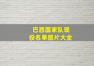 巴西国家队现役名单图片大全