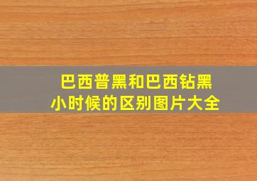 巴西普黑和巴西钻黑小时候的区别图片大全