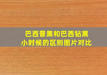 巴西普黑和巴西钻黑小时候的区别图片对比