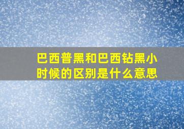 巴西普黑和巴西钻黑小时候的区别是什么意思