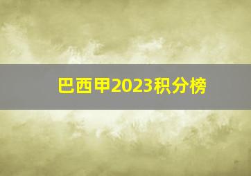 巴西甲2023积分榜