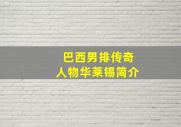 巴西男排传奇人物华莱锡简介