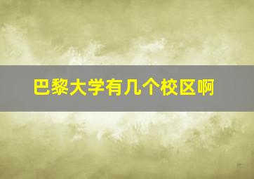 巴黎大学有几个校区啊