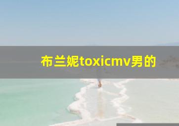 布兰妮toxicmv男的