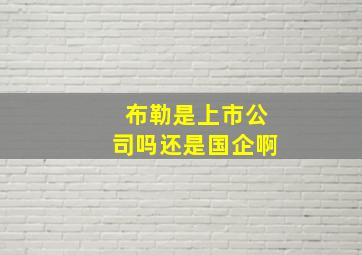 布勒是上市公司吗还是国企啊