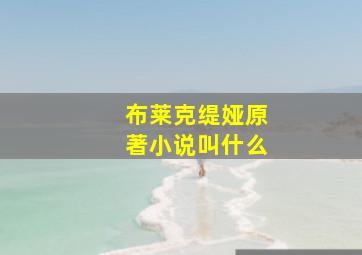 布莱克缇娅原著小说叫什么