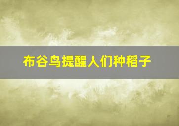 布谷鸟提醒人们种稻子