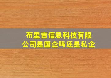 布里吉信息科技有限公司是国企吗还是私企