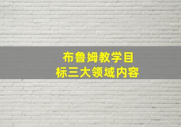 布鲁姆教学目标三大领域内容