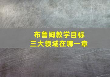 布鲁姆教学目标三大领域在哪一章