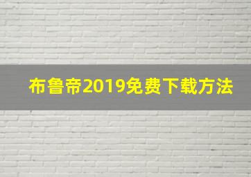 布鲁帝2019免费下载方法