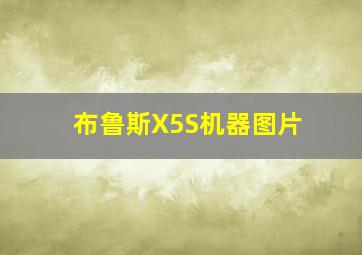 布鲁斯X5S机器图片