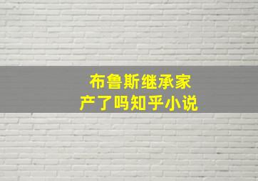 布鲁斯继承家产了吗知乎小说