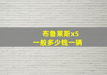 布鲁莱斯x5一般多少钱一辆