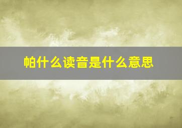 帕什么读音是什么意思