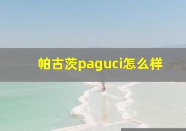 帕古茨paguci怎么样