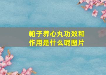 帕子养心丸功效和作用是什么呢图片