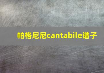 帕格尼尼cantabile谱子