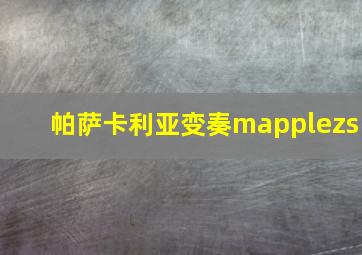 帕萨卡利亚变奏mapplezs