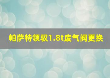 帕萨特领驭1.8t废气阀更换