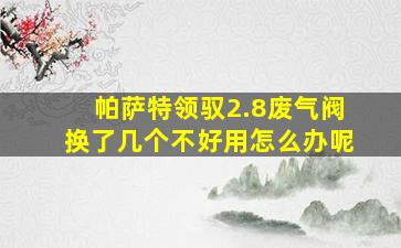 帕萨特领驭2.8废气阀换了几个不好用怎么办呢