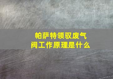 帕萨特领驭废气阀工作原理是什么