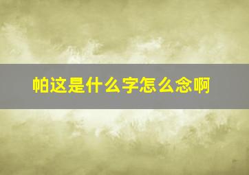 帕这是什么字怎么念啊