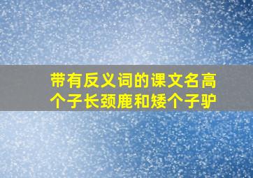 带有反义词的课文名高个子长颈鹿和矮个子驴