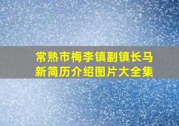 常熟市梅李镇副镇长马新简历介绍图片大全集