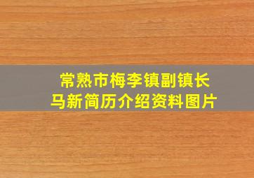 常熟市梅李镇副镇长马新简历介绍资料图片