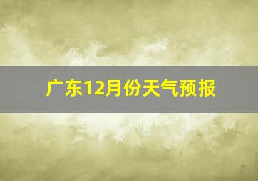 广东12月份天气预报