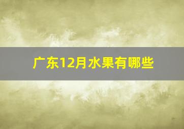 广东12月水果有哪些