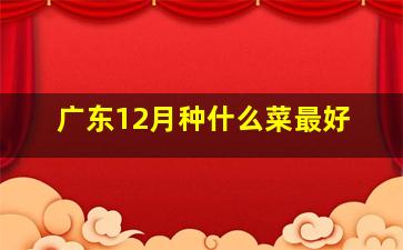 广东12月种什么菜最好