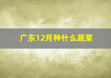 广东12月种什么蔬菜