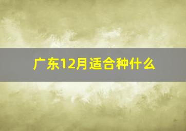 广东12月适合种什么