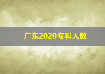 广东2020专科人数