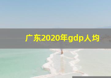 广东2020年gdp人均