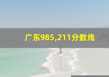 广东985,211分数线