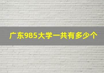 广东985大学一共有多少个