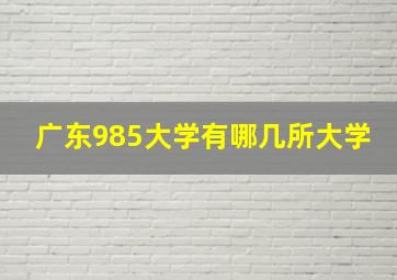 广东985大学有哪几所大学