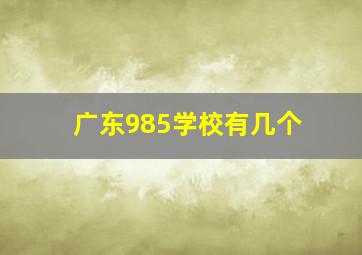 广东985学校有几个