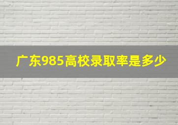 广东985高校录取率是多少