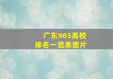 广东985高校排名一览表图片